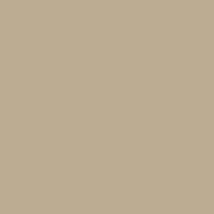 TxCxT Heavy tee - light brown text Design